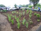 After the Rain Garden was Installed